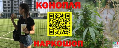 спиды Гусев