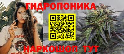 спиды Гусев