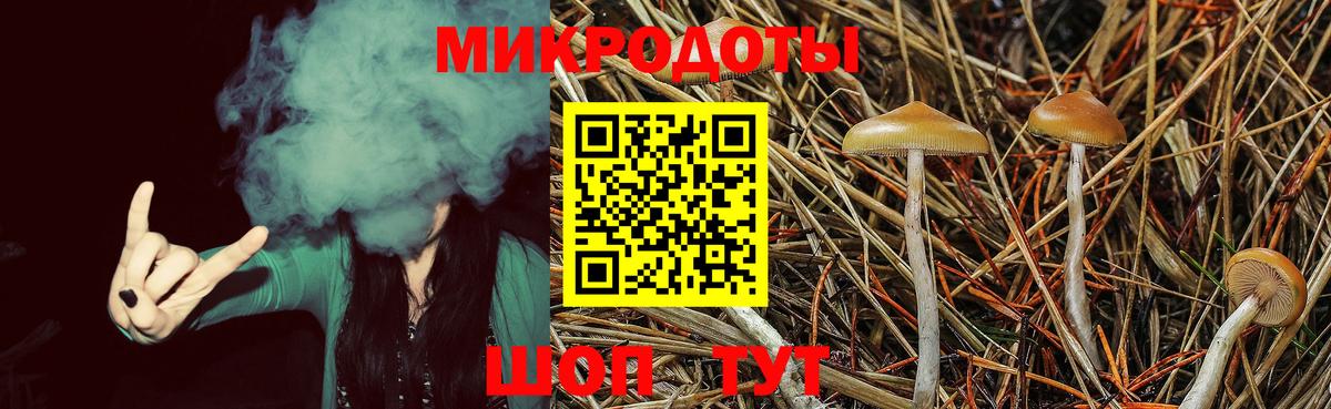 Псилоцибиновые грибы ЛСД  цена   Нефтекумск  Вход с VPN 